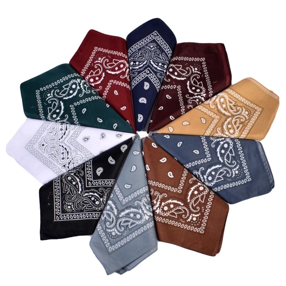 Hip Hop Cowboy Paisley Scarf L - Ascot Neck Scarf 评论和价格